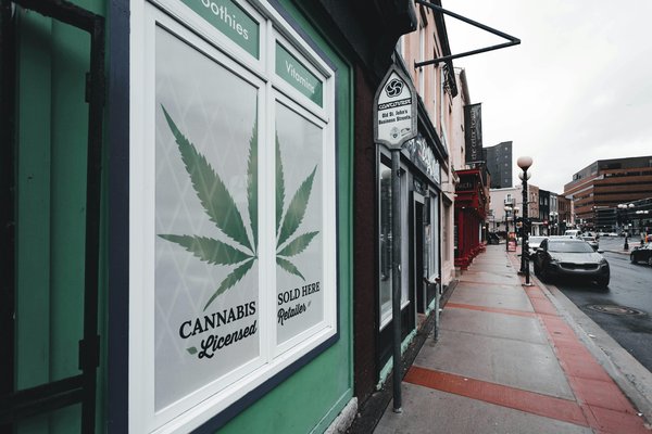 Découvrez la boutique cbd pas chère : qualité et économies !
